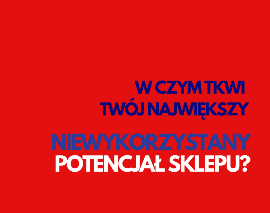 Audyt sklepu ONLINE(1)