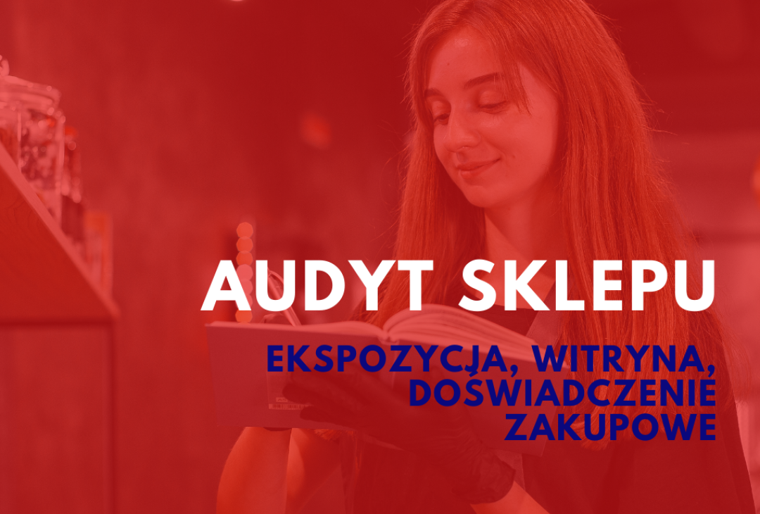 Audyt sklepu ONLINE(2)